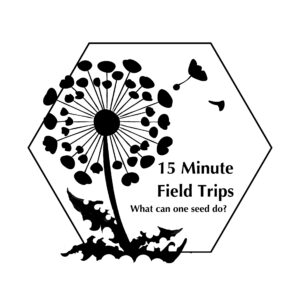 15 Minute Field Trip black & white