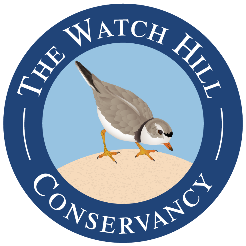 Watch Hill Conservancy logo