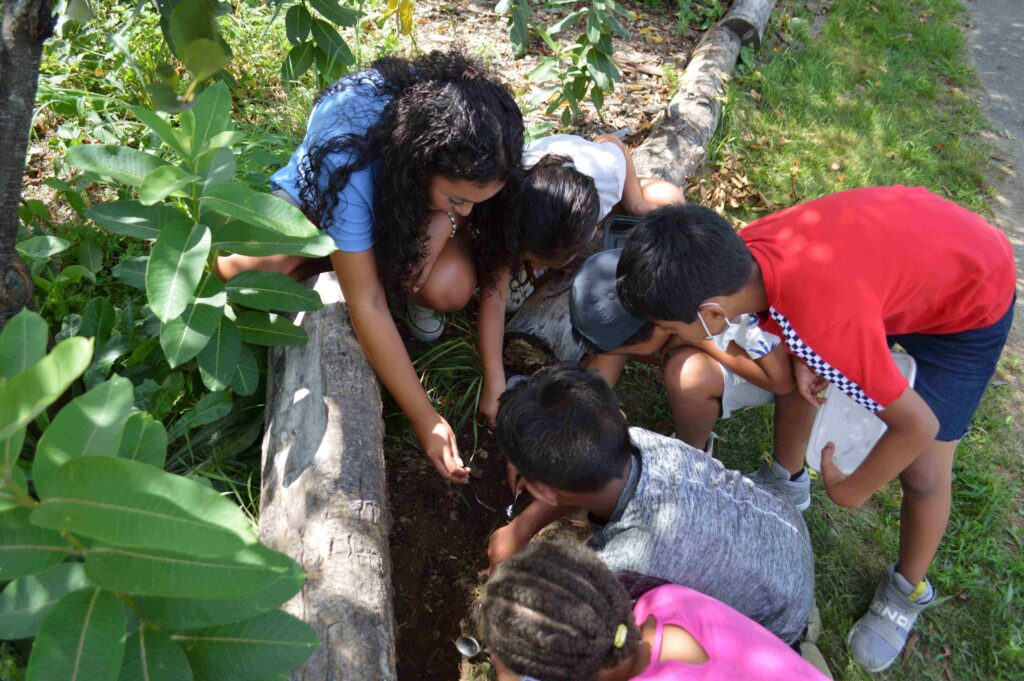 A group of young children huddle together outside and use microscopes to look at what is under a fallen log